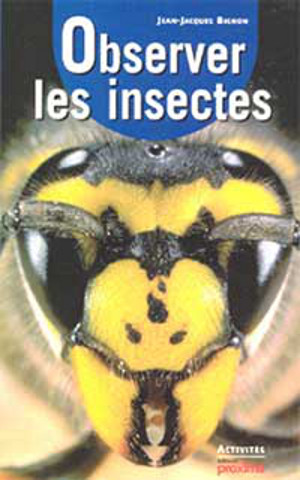 Observer les insectes