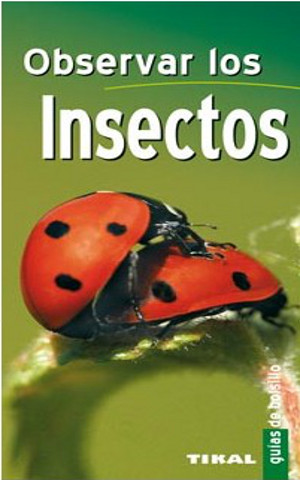 Observer les insectes