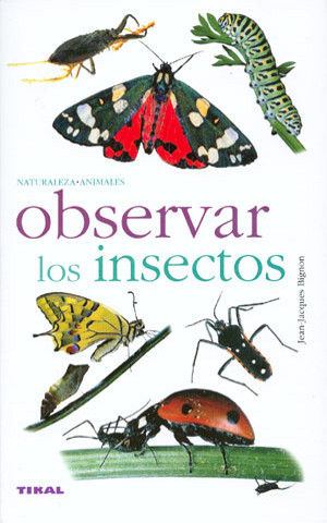 Observer les insectes